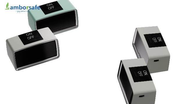 Amazon.com: Lamborsafe One-Button Simple Music Player for Seniors